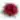 100 Red Rose Bouquet