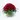 50 Red Rose Bouquet