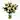 Florist Choice Showstopper