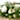 Country Garden Heart Wreath