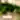 Foliage Garland
